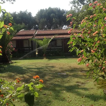 Camping Scogliera Azzurra